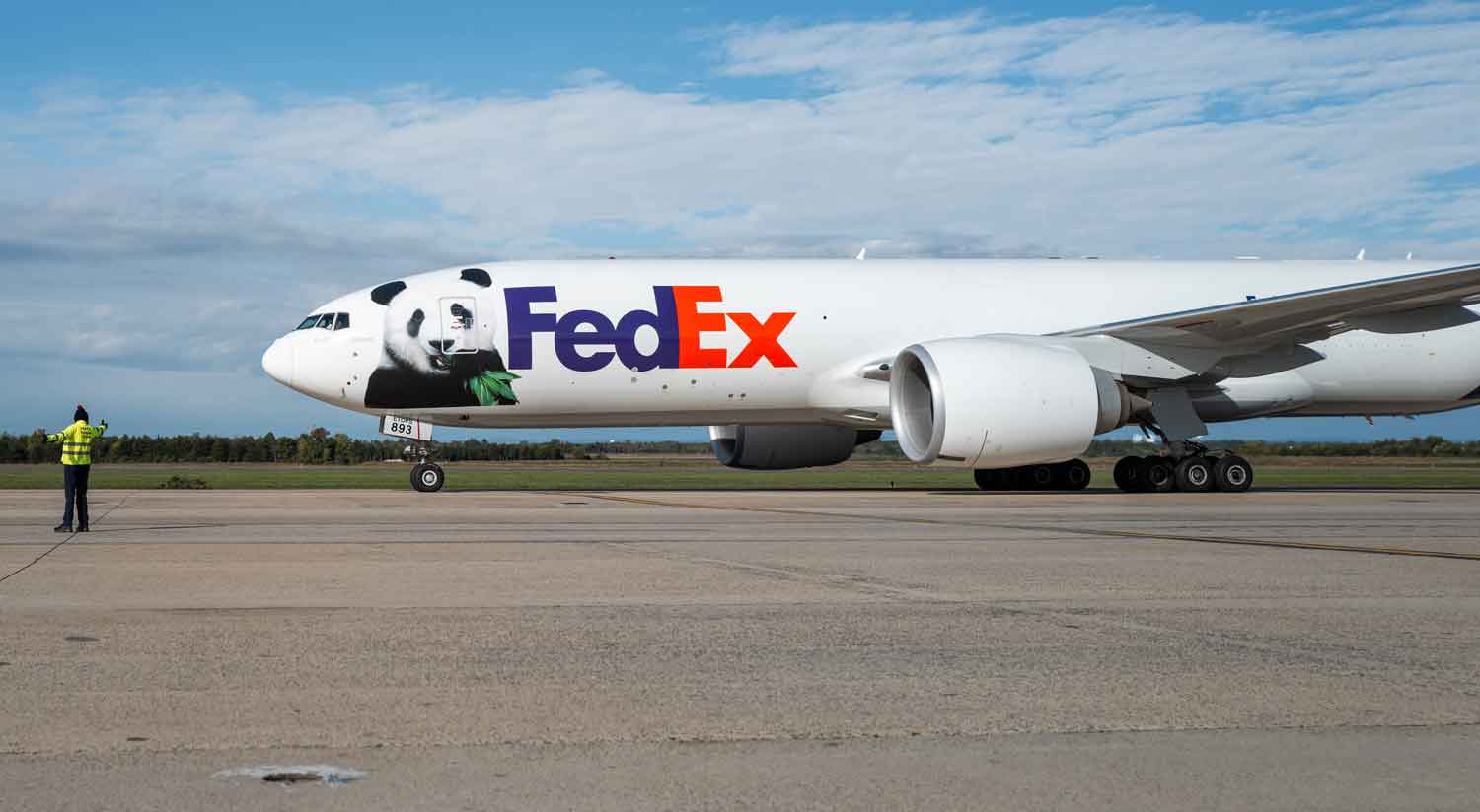 A FedEx plane with a panda painted on its nose sits on a runway.