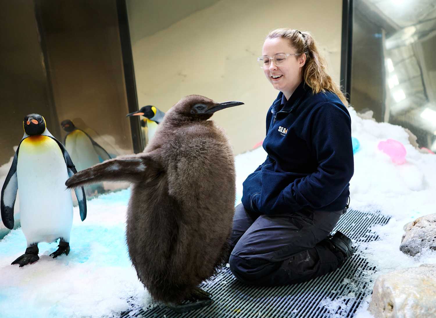 A woman sits on a blanket in a penguin enclosure and smiles at Pesto the penguin.