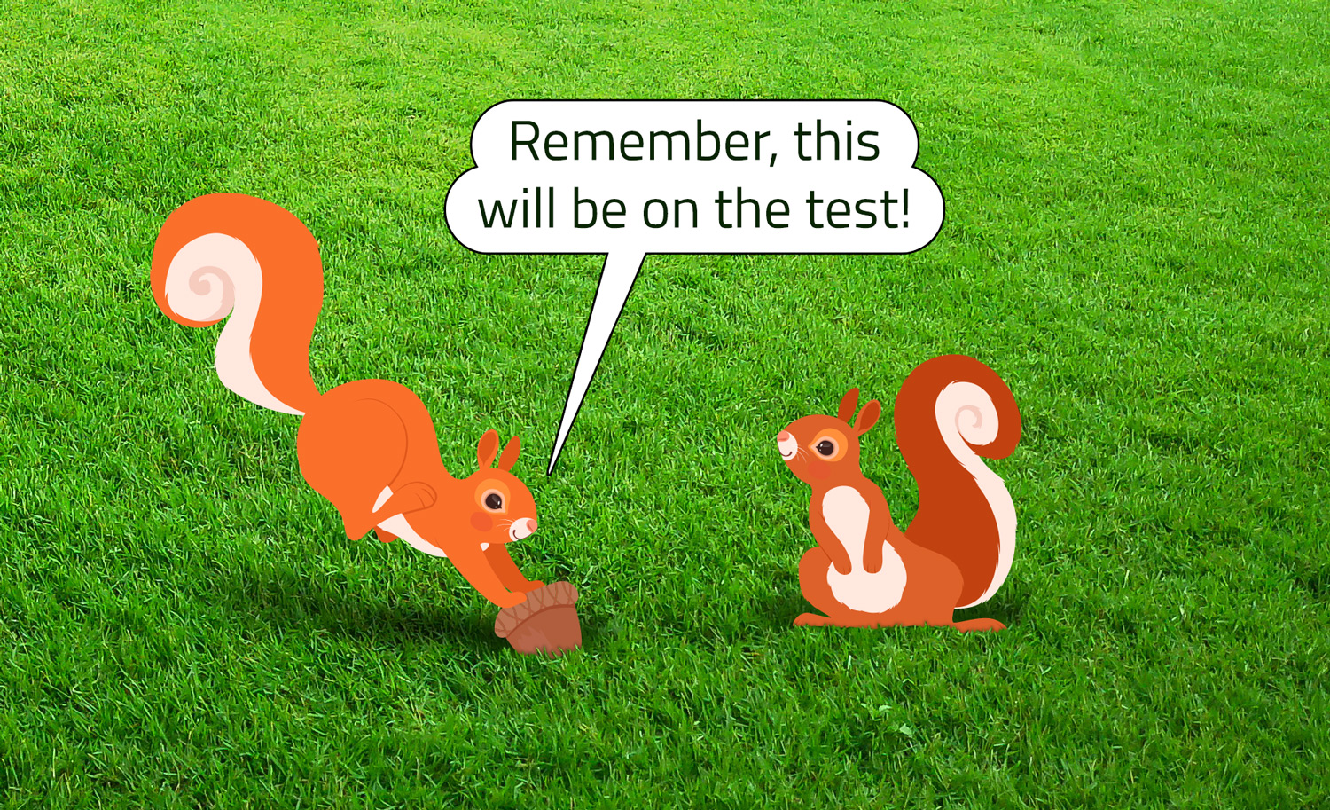 A squirrel buries an acorn and tells another squirrel to remember where it is.