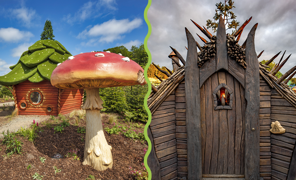 Side by side photos of a giant mushroom and a wooden door.