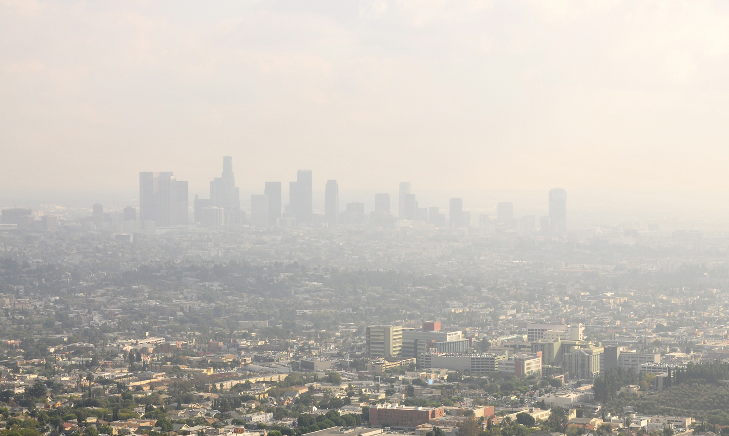 Smog fills the air above a city skyline.