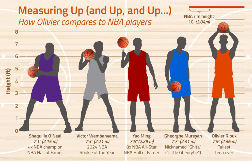 Silhouettes of Shaquille O’Neal, Victor Wembanyama, Yao Ming, Gheorghe Muresan, and Olivier Rioux against a height chart show Rioux is the tallest.