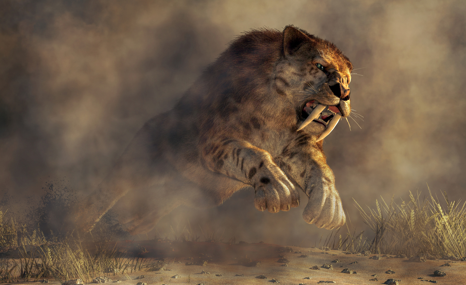 A smilodon is in the middle of pouncing over a dry landscape.