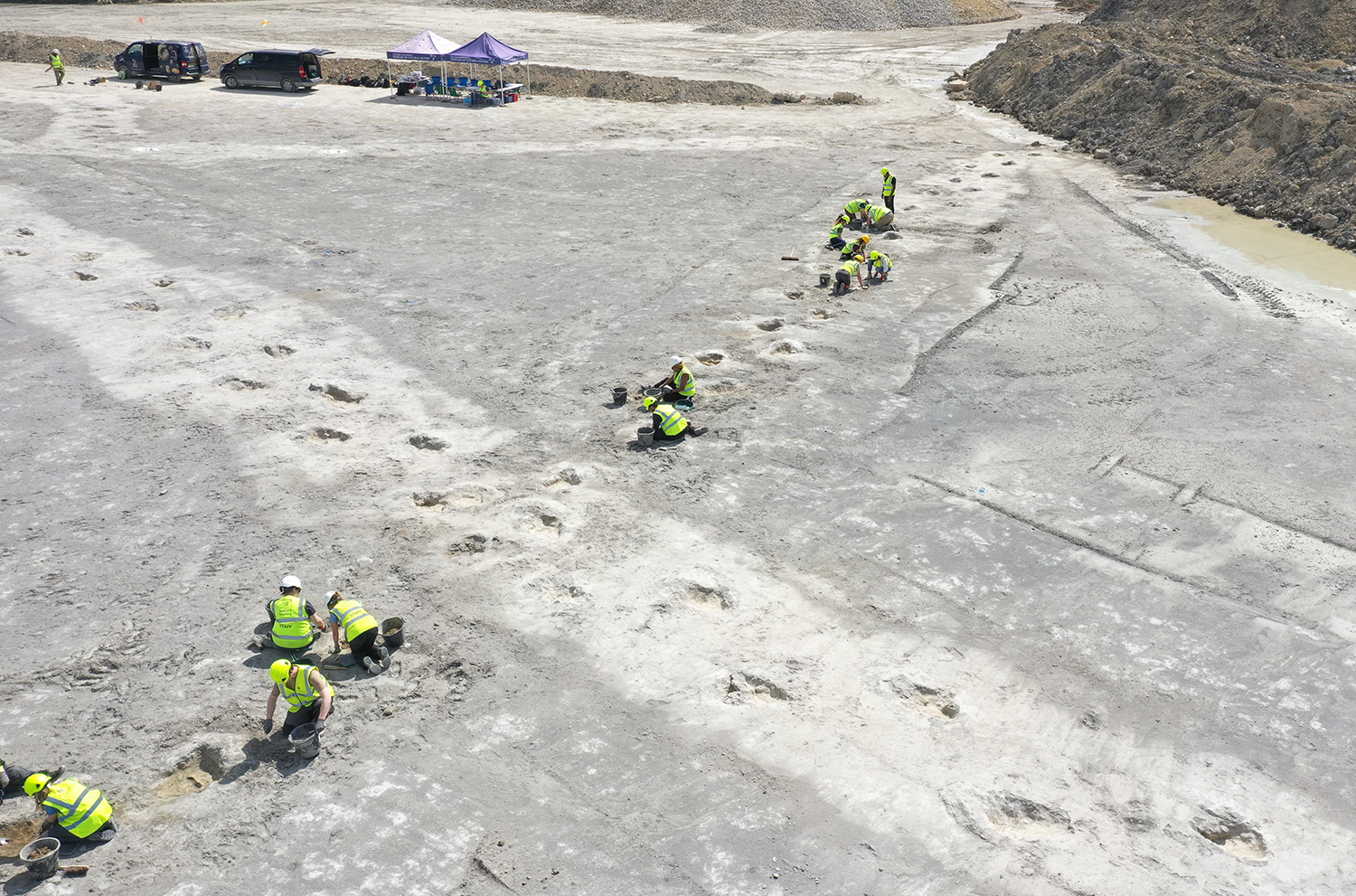 Two paths of large animal tracks cross each other and people in neon vests are seen excavating the tracks.