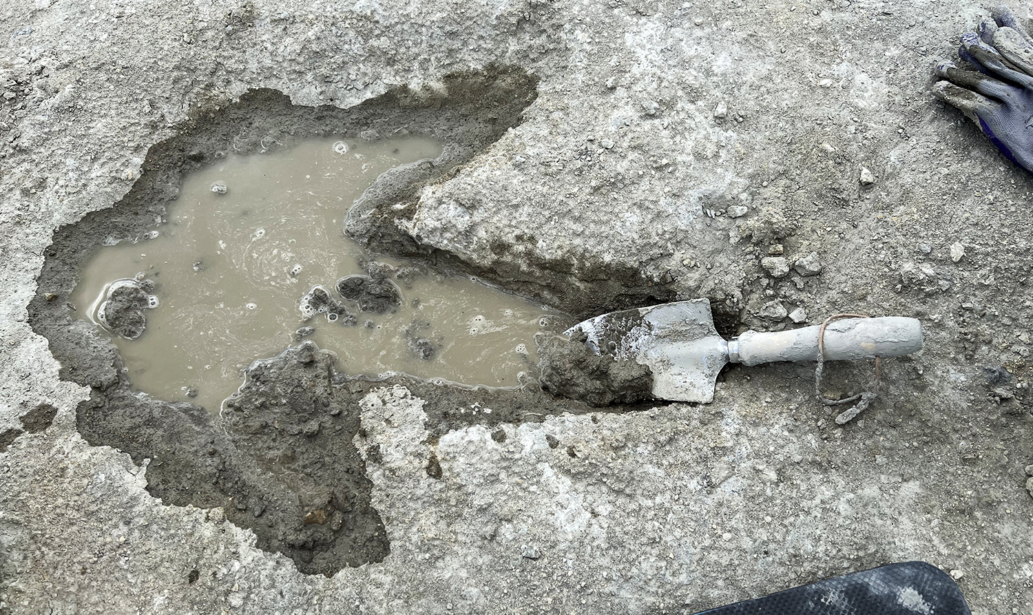 A large dinosaur track is seen with a shovel next to it for a size comparison.