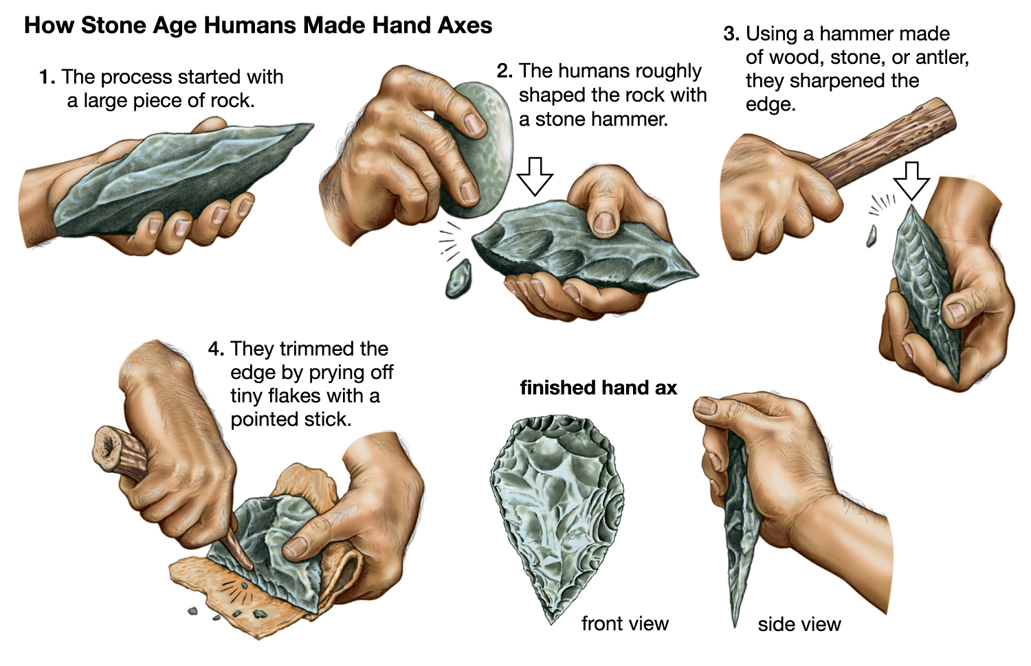 A four-step process showing how early humans made axes out of rocks.