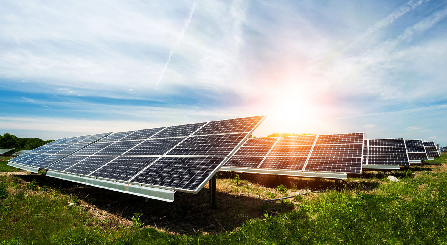 Solar panels in a grassy field.