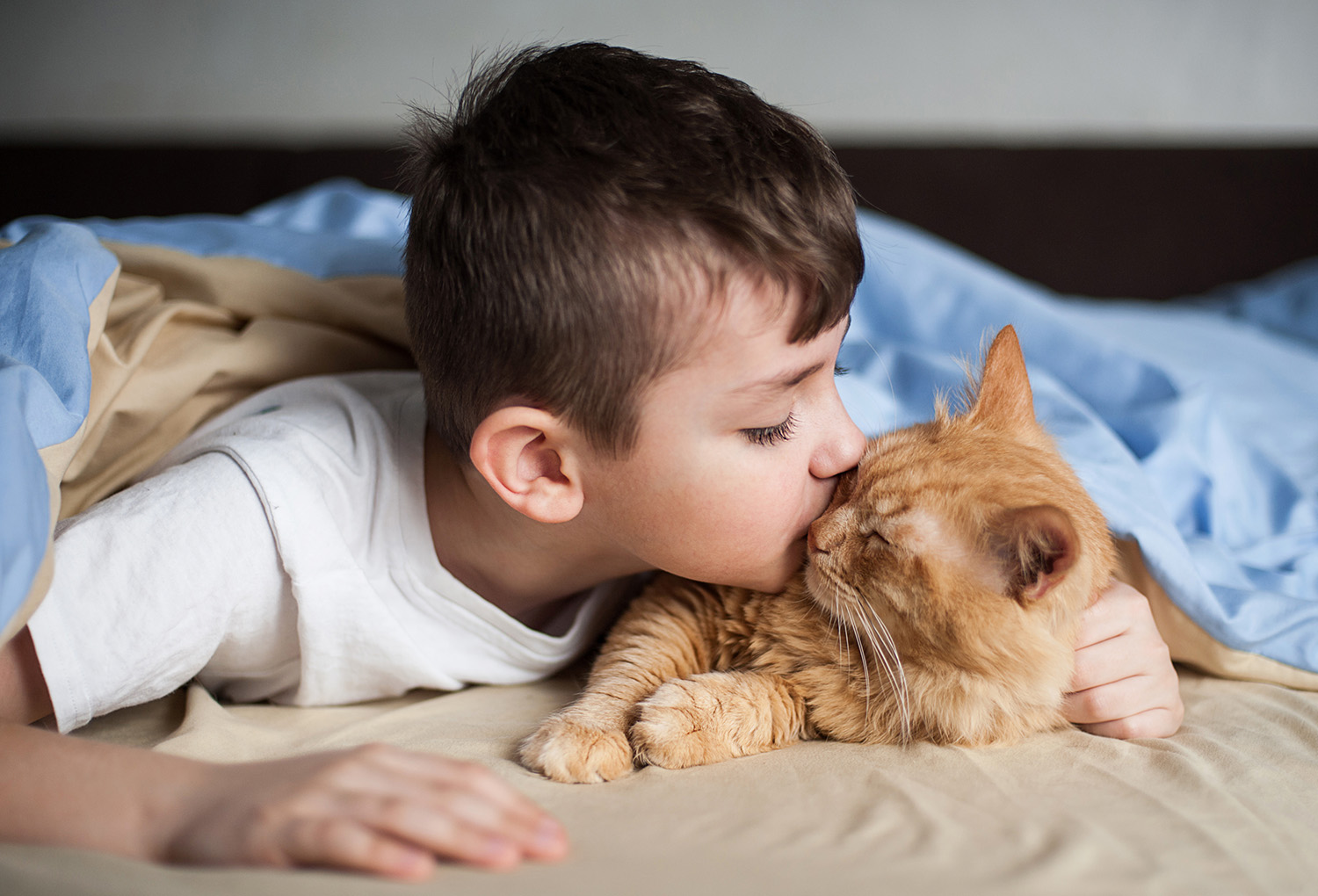 A boy lies in a bed and kisses an orange cat.