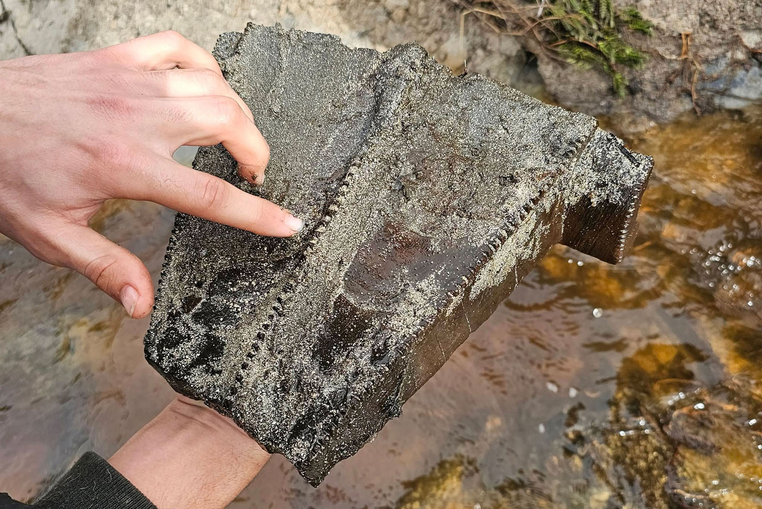 Two hands hold a piece of carved wood that is partially coated in sand and sediment.