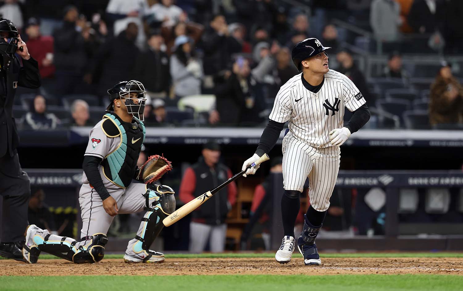 Anthony Volpe in a Yankees uniform is about to drop his torpedo bat and run from home plate to first base.