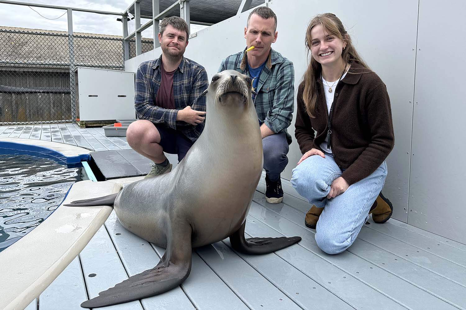 Two men and one woman pose by a pool behind a sea lion.