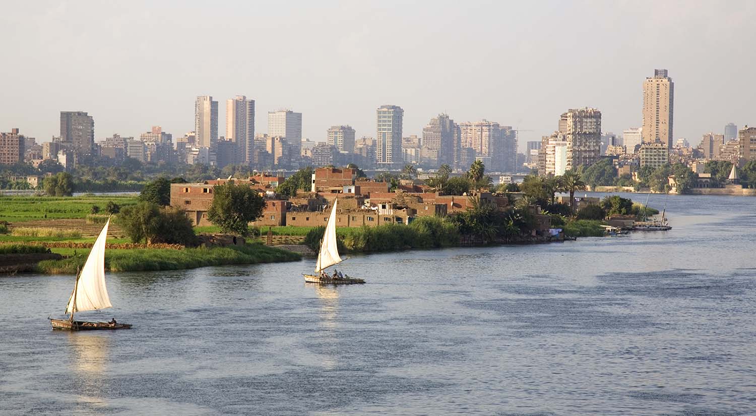 Sailboats are on the Nile with high rise buildings in the background.