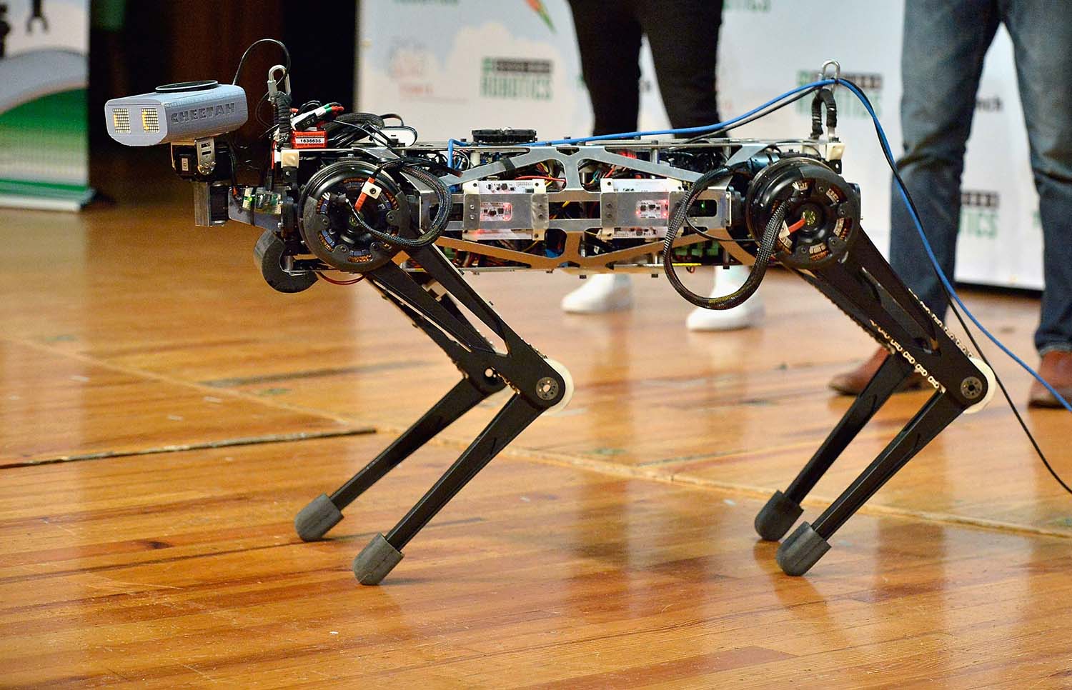 Closeup of a large four legged robot with circuits visible