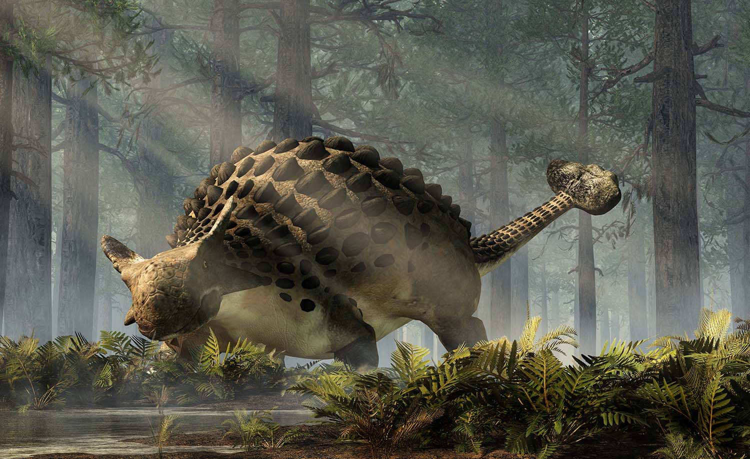 An armored dinosaur with a clubbed tail moves through a bed of ferns in a forested area.