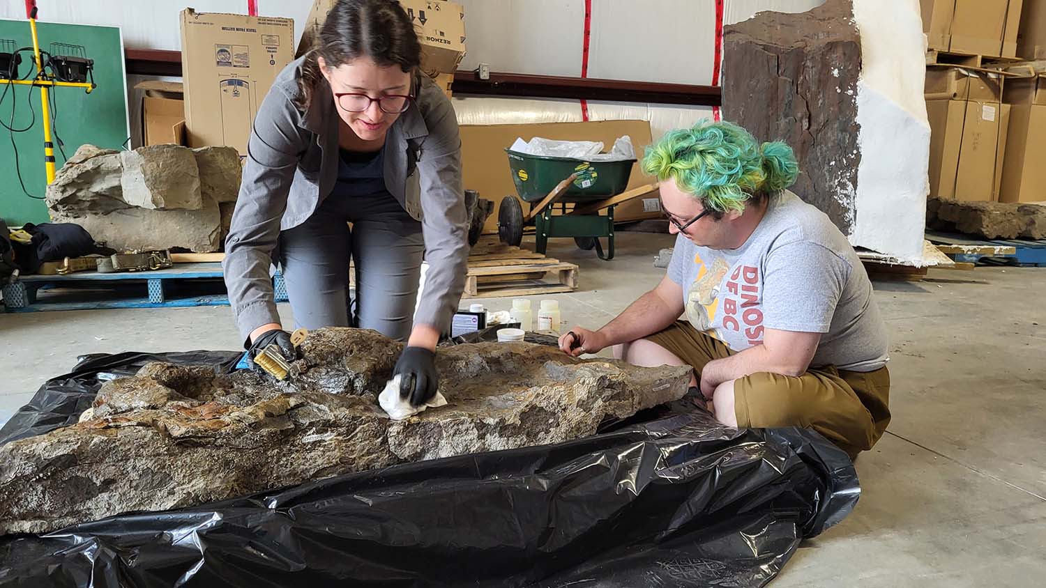 Two people use tools on a large specimen that sits on top of a black plastic bag in an indoor setting.