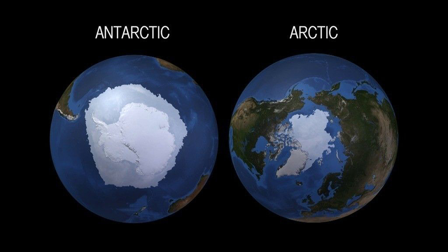 Side by side images of the Arctic and Antarctic show that there is a lot more ice at the Antarctic.