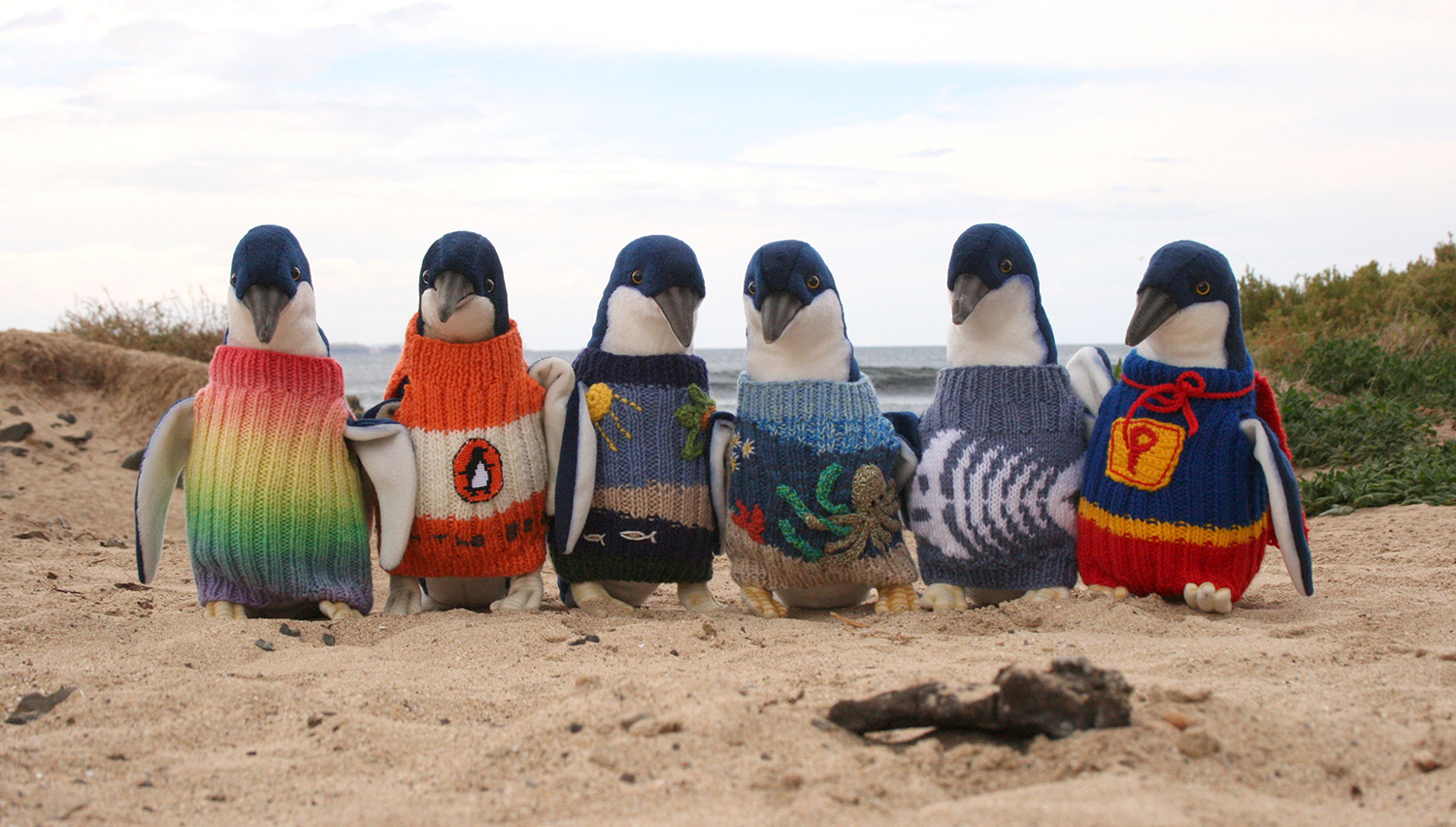 Six stuffed penguins wearing sweaters are posed on a beach with the ocean behind them.