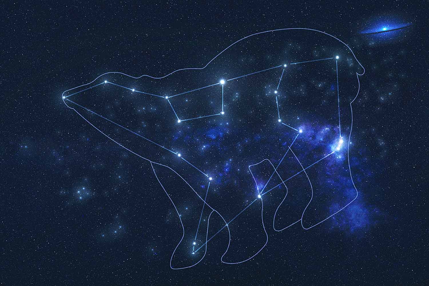 The stars of Ursa Major have been connected to show the outline of a bear.