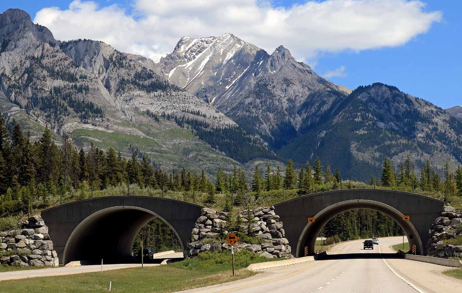 A wildlife bridge stretches over a two-way road with tall mountains in the background.