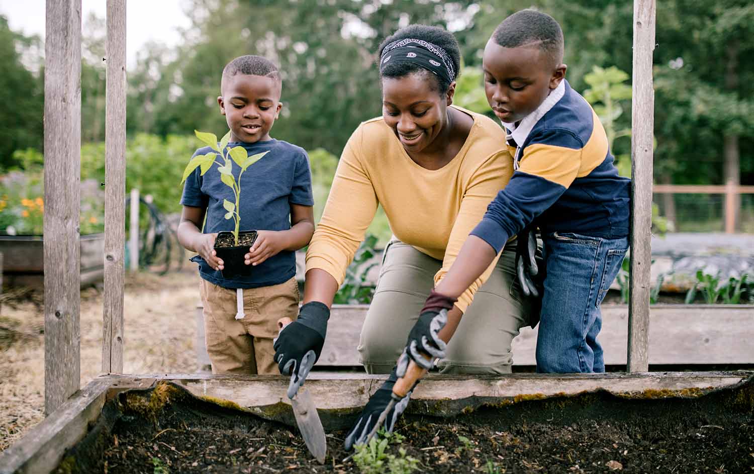 A woman and her sons plant vegetables in a community garden.