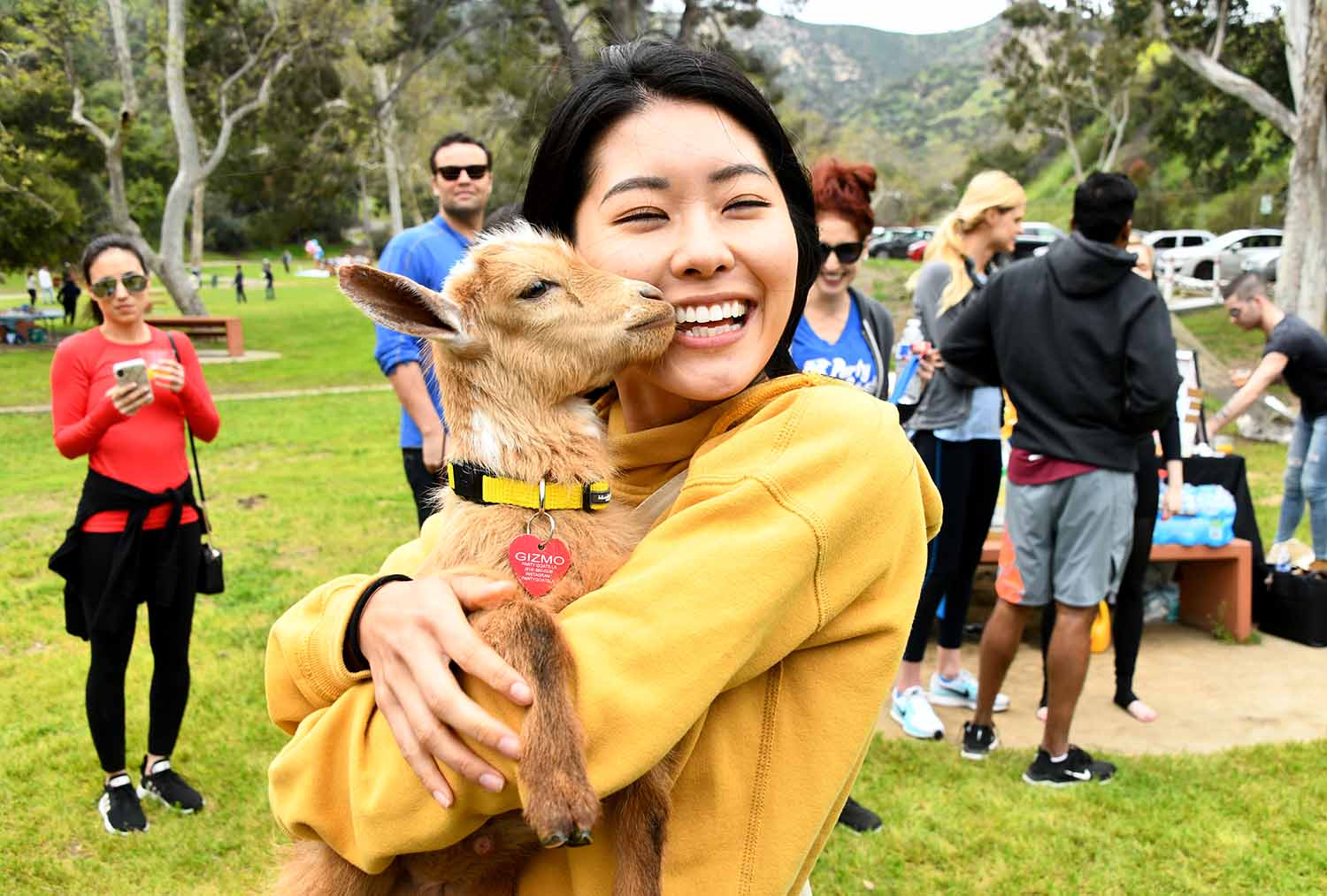A woman hugs a small goat wearing a tag reading Gizmo in a park setting with a few other people in the background.