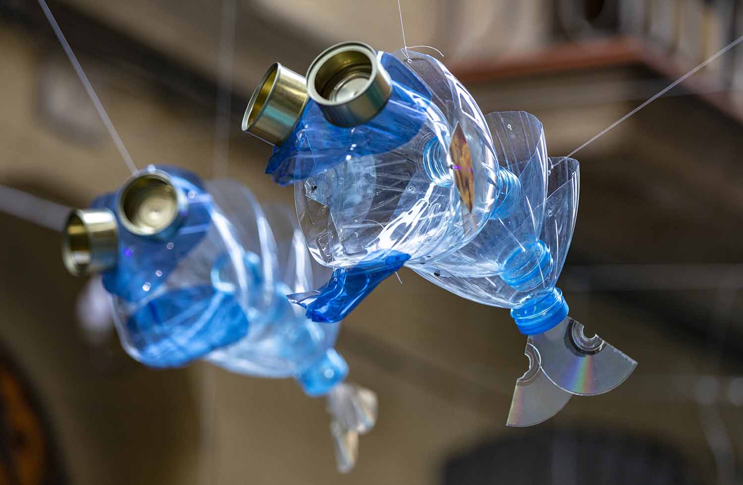 The tops of blue plastic bottles have been arranged along with other waste materials to make fish that now hang on fishing wire.