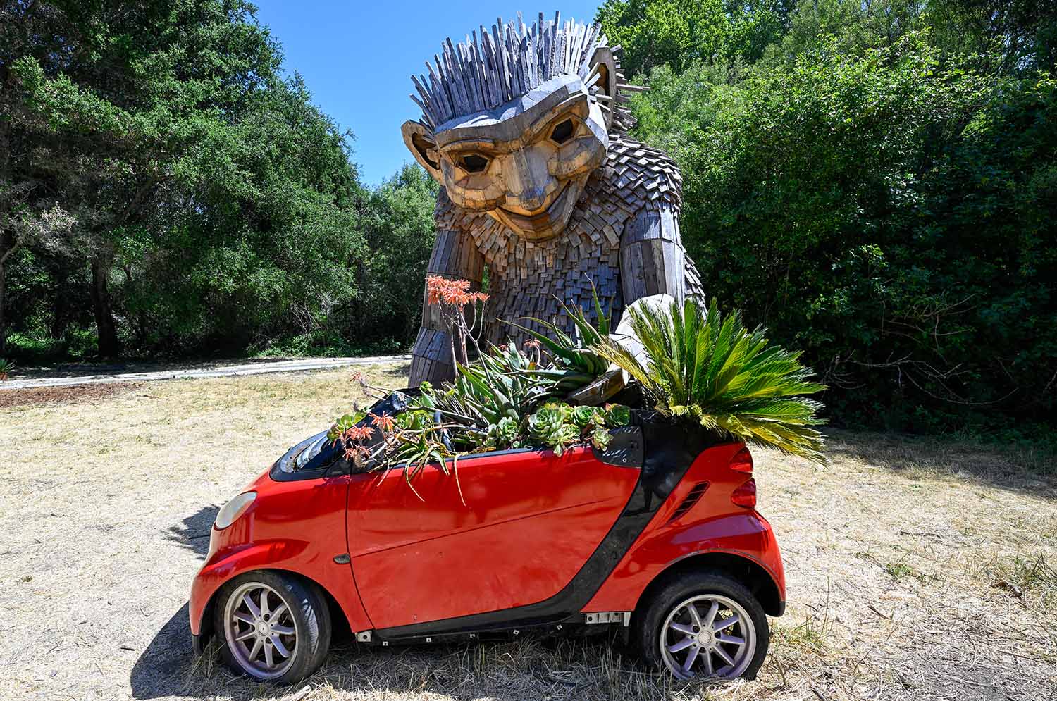 A large wooden troll is planting flowers inside the body of a convertible car.