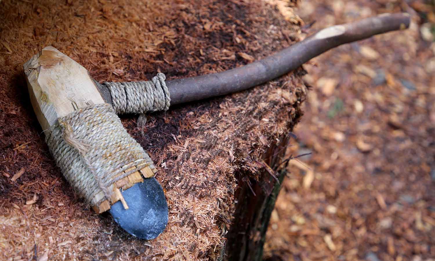 An axe made with a stick and a piece of stone lies on a tree stump.