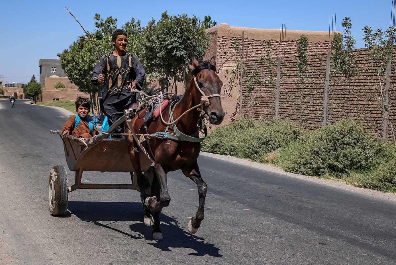 A man sits upon a horse as it pulls a cart carrying school children.