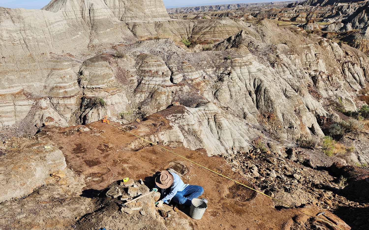 An overhead view shows a scientist in a hat outdoors excavating a large set of dinosaur tracks.