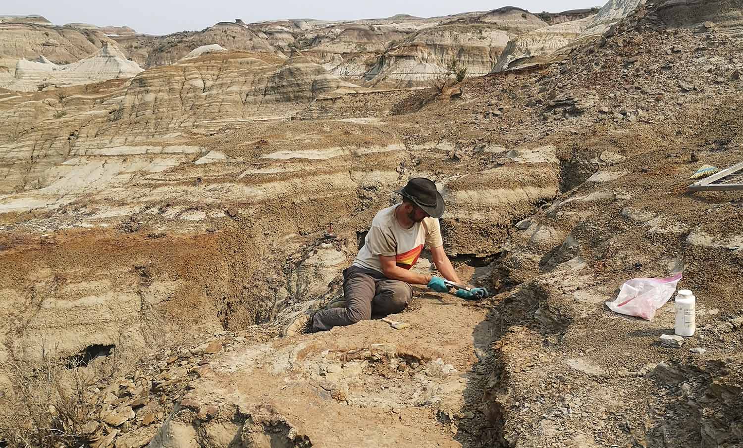 A scientist in a hat outdoors uses a tool to excavate a dinosaur footprint.