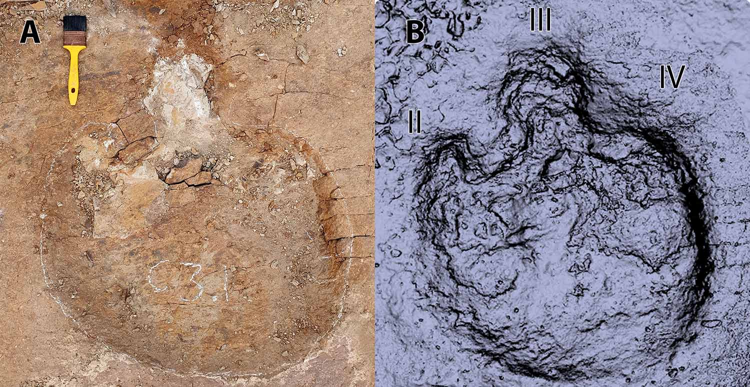 Side by side images of a dinosaur footprint on its own and covered in powder to make a mold.