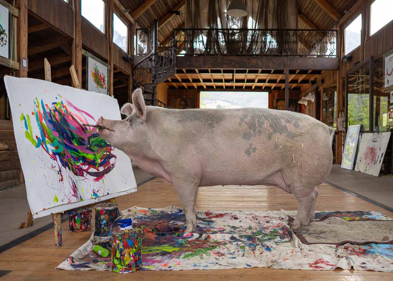 A large pig stands on a paint covered cloth and uses its mouth to hold a brush to apply paint to a large canvas.