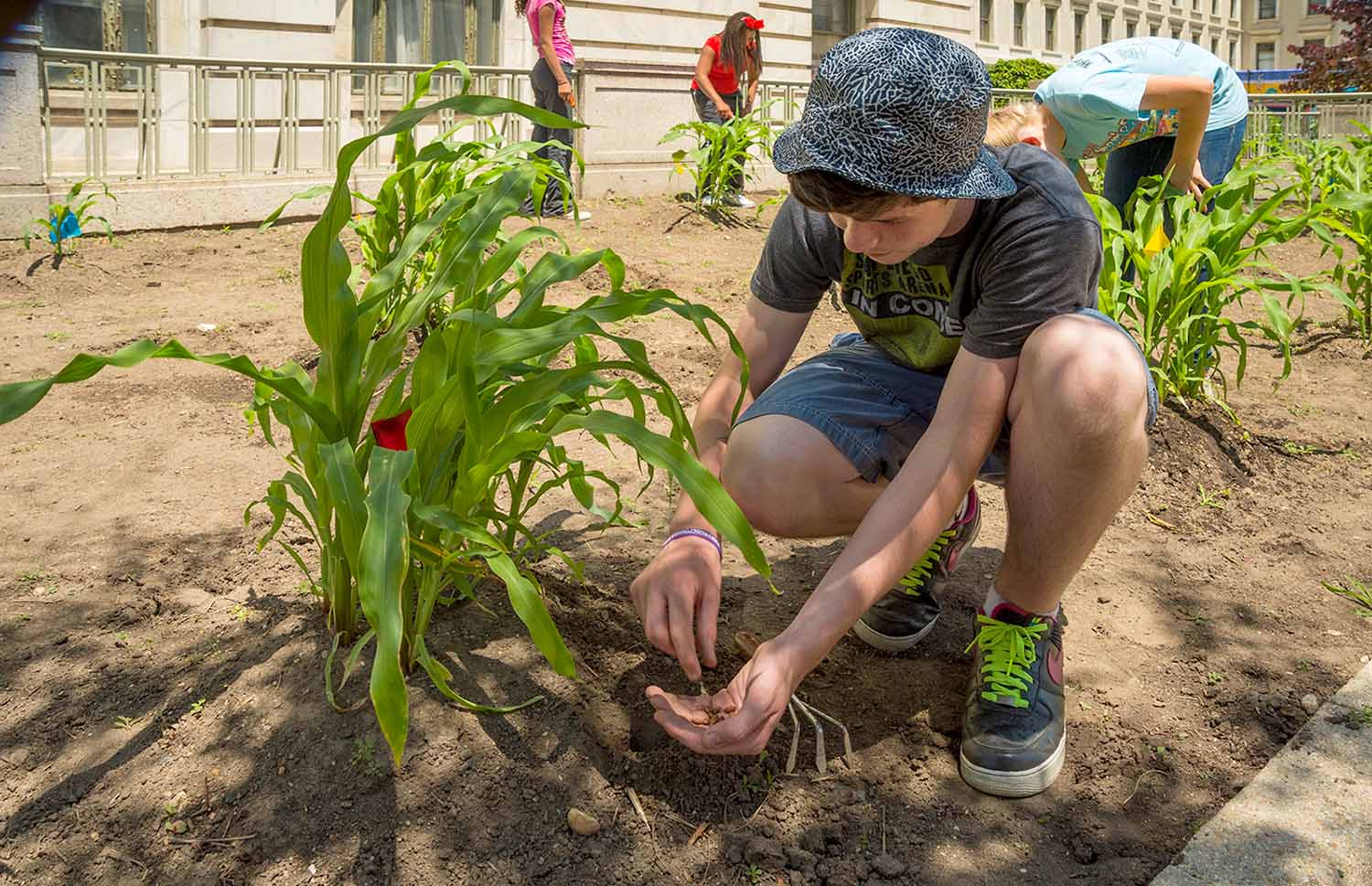 A teenager squats in a garden and plants seeds in the ground while three other people tend to plants.