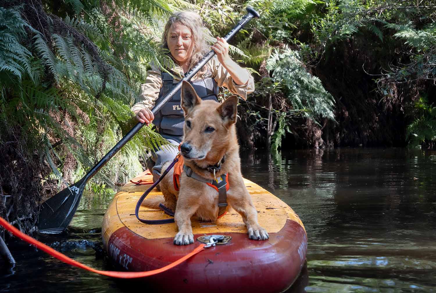 A dog lies on a paddleboard with its head raised as a woman paddles behind it.