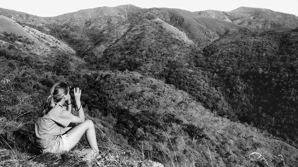 Black and white photo of a young Jane Goodall seated outdoors and looking through binoculars over hills.