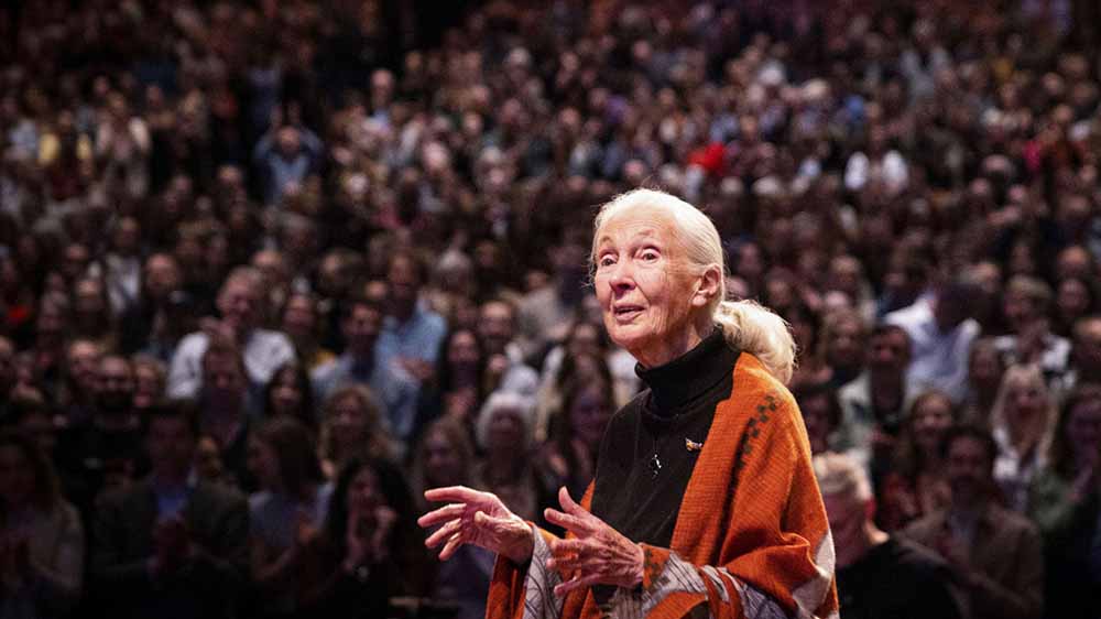 Older Jane Goodall gestures as she speaks in front of a large crowd.