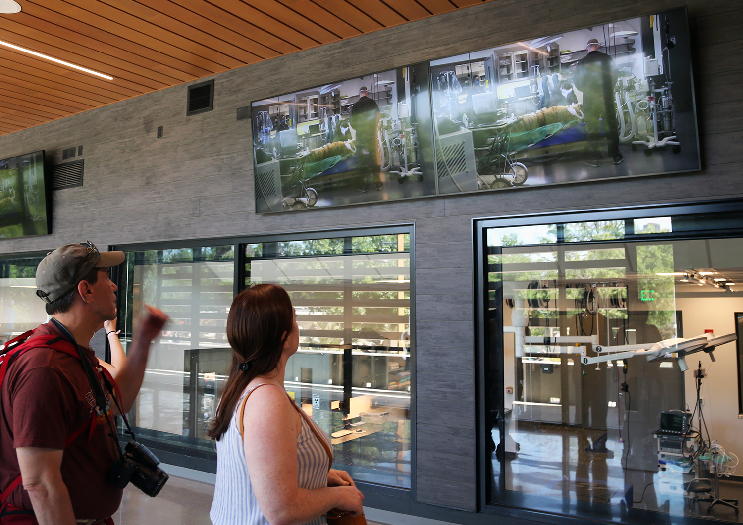 Two people watch television screens in front of a window through which an animal is receiving veterinary care.