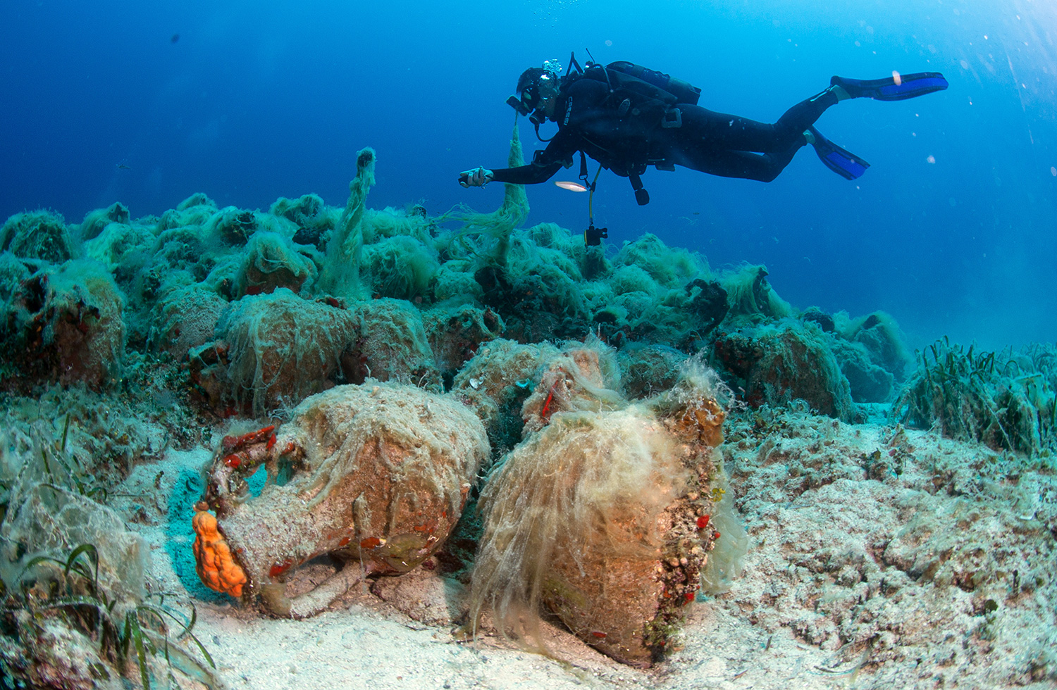 A diver examines a large number of clay jugs sitting on the sea floor.