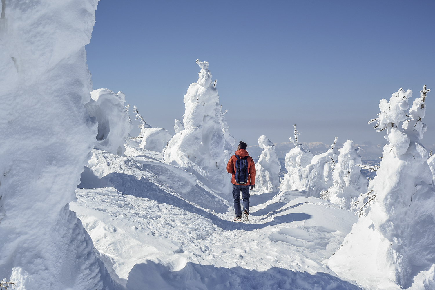 A man stands facing away from the camera and looking at snow-covered trees that resemble snow creatures.