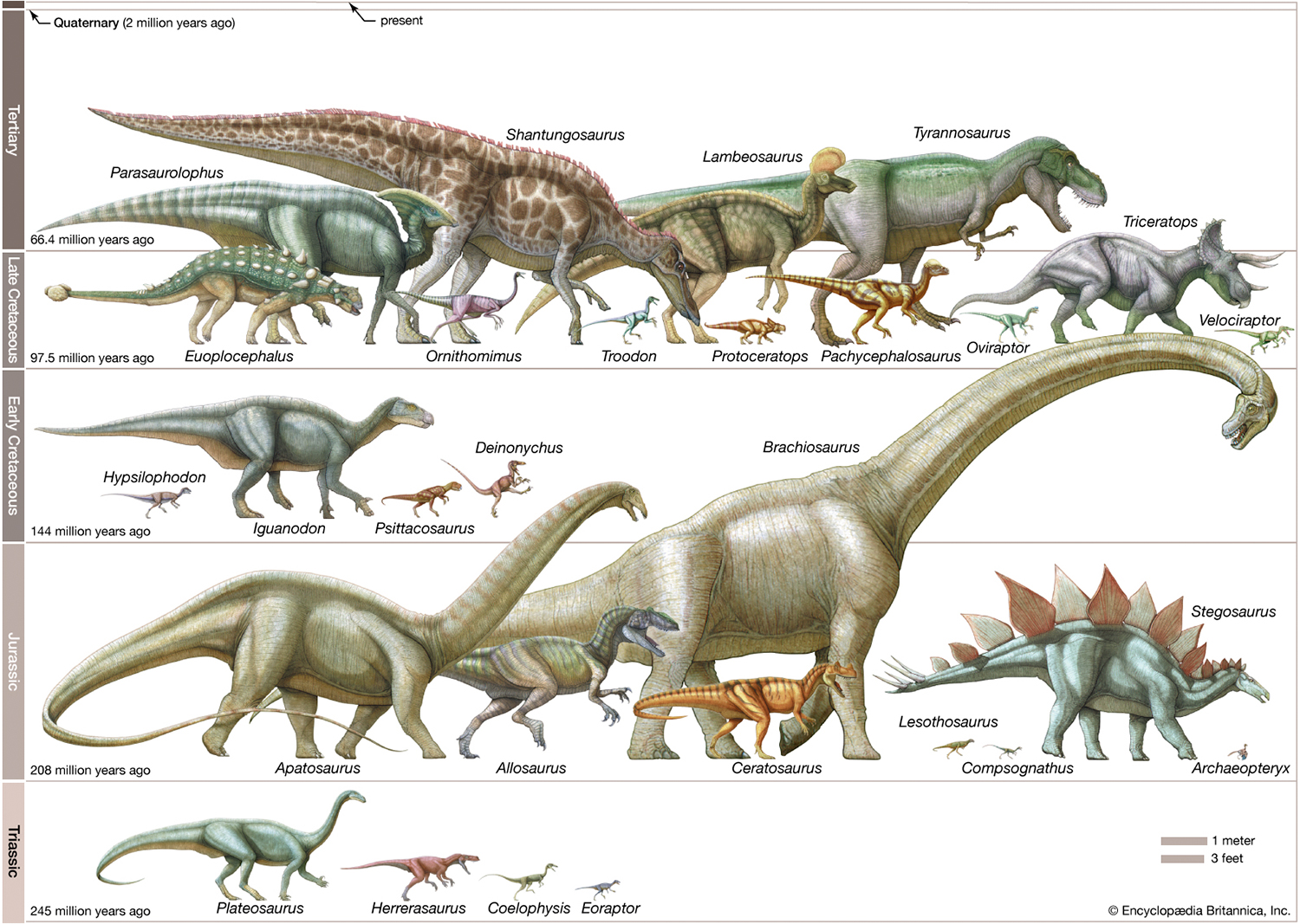 Various dinosaur species are illustrated, labeled, and grouped by era.