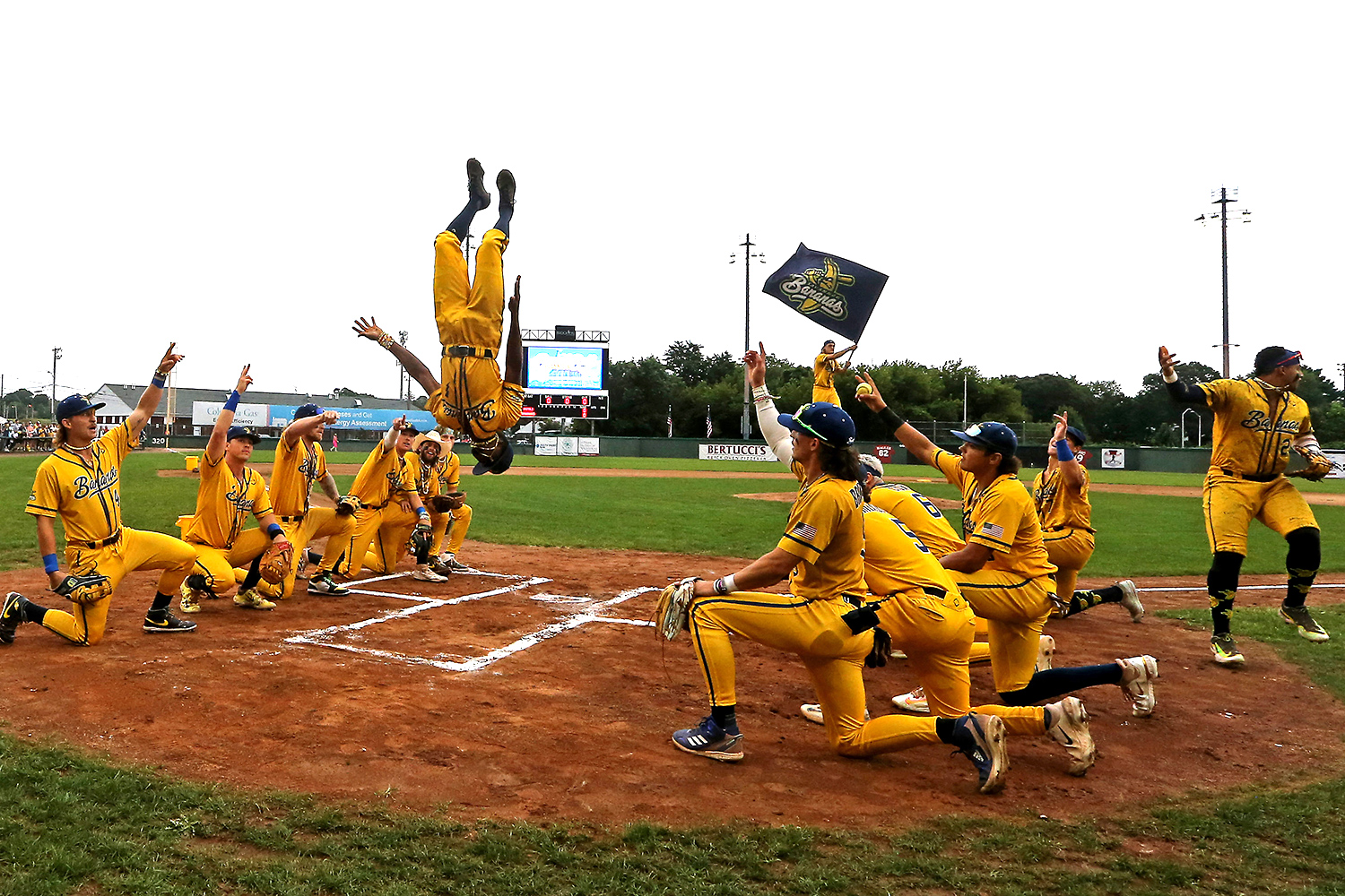 A baseball player in a yellow Bananas uniform does a backflip as his teammates kneel and hold up their arms on either side of him.