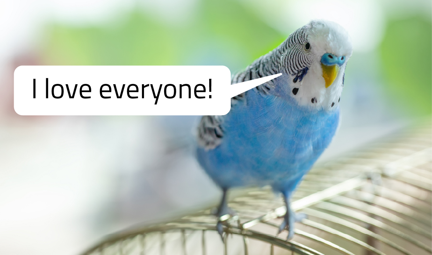 A speech bubble shows a blue parakeet or parrot saying “I love everyone.”