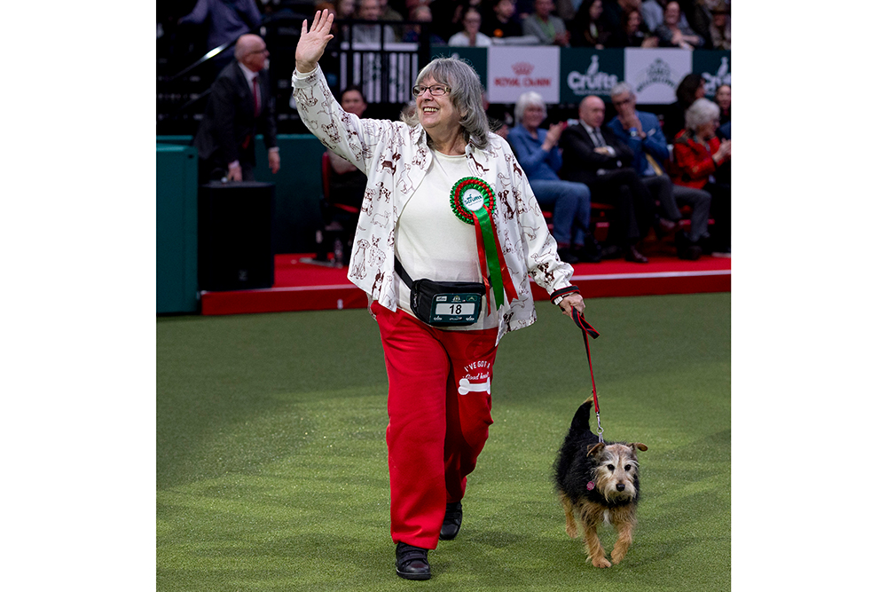 Lyn Freeman wears a prize ribbon and waves to the crowd as she walks terrier mix Marnie on green turf.