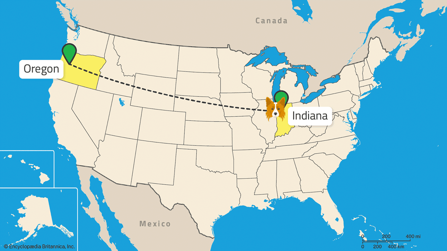 A collie head illustration moves across a US map, from Indiana to Oregon.