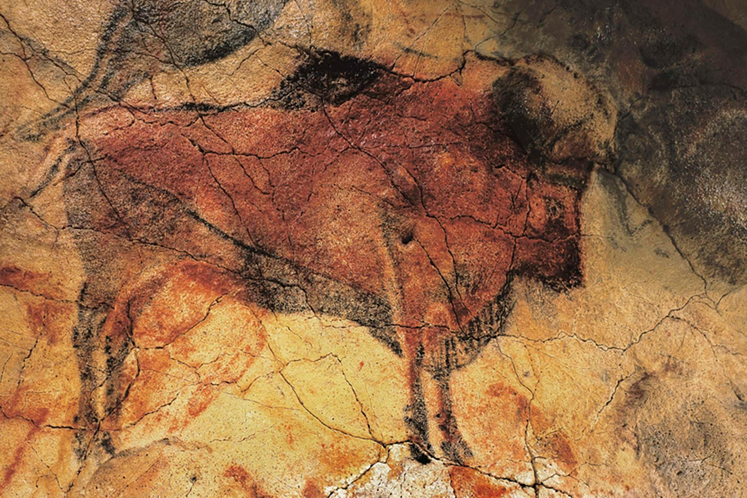 A prehistoric painting of a bison on the wall of a cave.