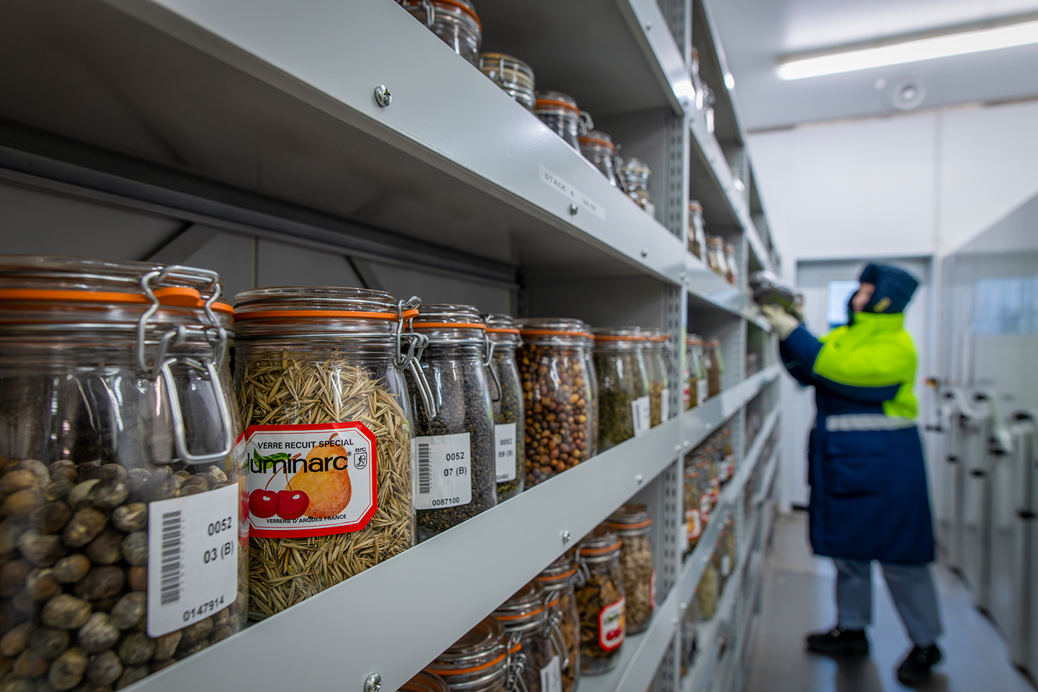Labeled mason jars with different kinds of seeds sit on metal shelves. A person can be seen working in the background.