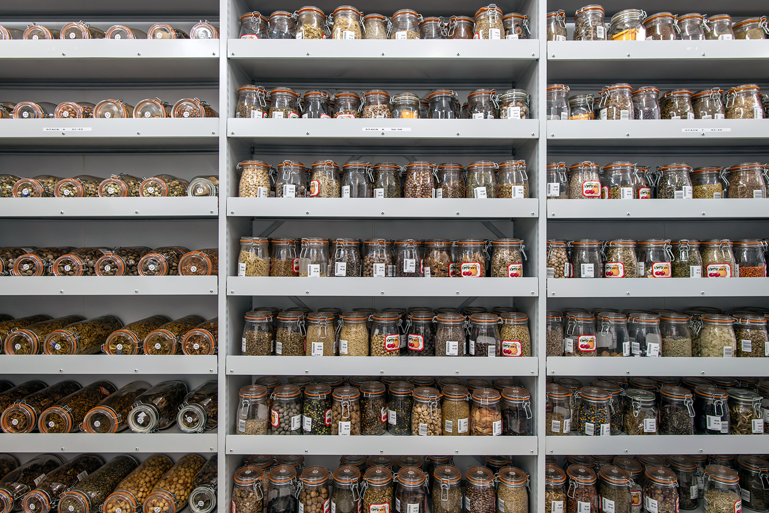 Rows of labeled mason jars filled with seeds sit on shelves.