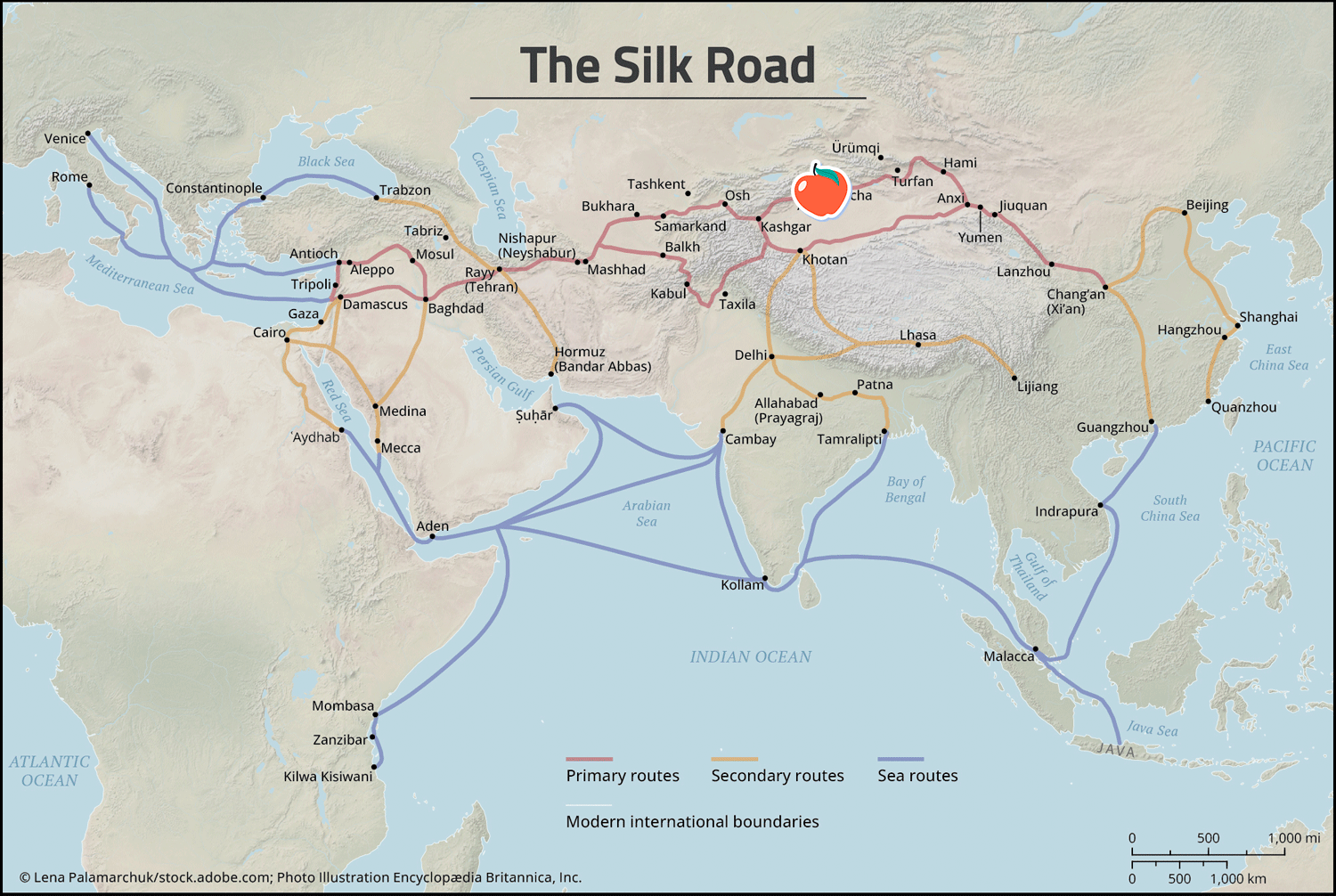 Illustrations of apples start around central Asia and proliferate on a map that shows the sea and land routes of the Silk Road.