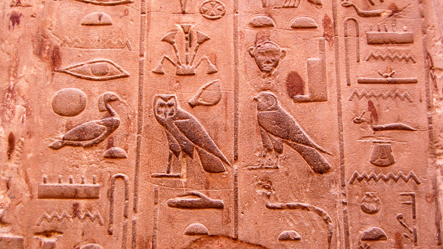Hieroglypics, including some that show birds and snakes, are carved into stone.
